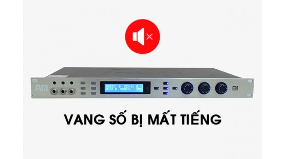 Vang số bị mất tiếng là do đâu? Cách khắc phục như thế nào?