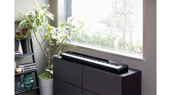 So sánh 2 mẫu piano điện Casio siêu HOT: PX-S1000 và PX-360M
