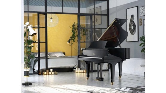 Giá của 1 chiếc đàn PIANO