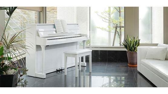 Hướng dẫn chọn và mua đàn Piano cơ chi tiết nhất