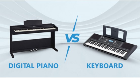 Mới học đàn, nên mua đàn organ hay piano điện?