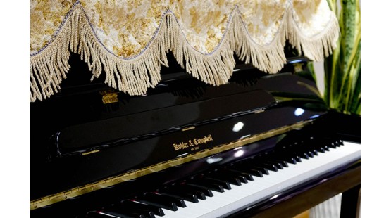 Dưới 100 triệu có thể mua đàn piano cơ mới không?