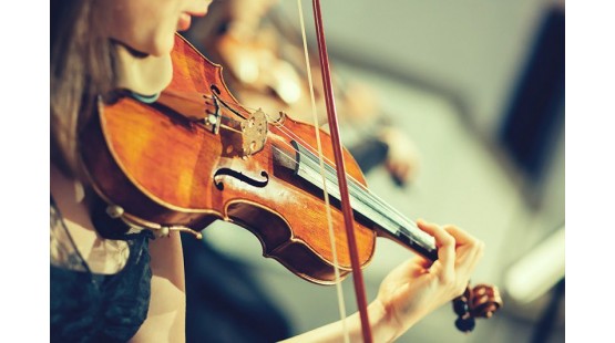 Người mới bắt đầu học đàn Violin nên làm những gì?