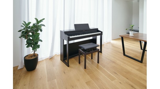 Roland RP-701 – Mọi thứ gia đình bạn cần để bắt đầu quá trình chơi Piano