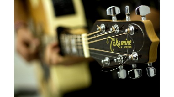 Ý nghĩa tên các dòng đàn của thương hiệu Takamine – Giới thiệu cụ thể về Takamine G-series