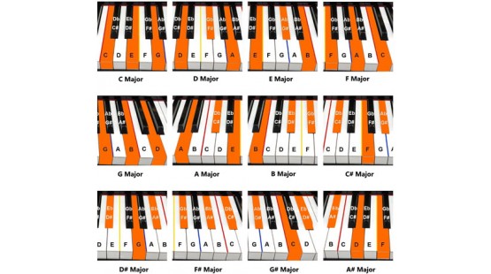 Các hợp âm piano cơ bản dành cho người mới học
