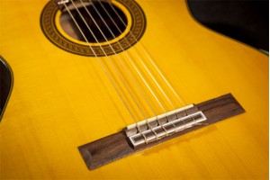 Những cây guitar thuộc series Takamine G-series Classical