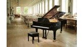 Steinway và cây đại dương cầm “Royal Albert Hall Limited Edition” ý nghĩa