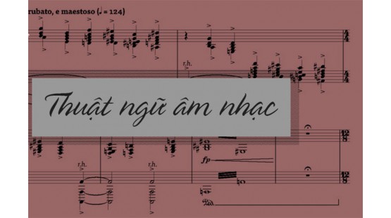 Những thuật ngữ chuyên môn trong âm nhạc