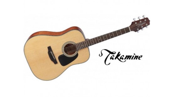 10 nhãn hiệu Acoustic Guitar hàng đầu thế giới 