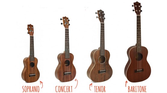 Phân biệt đàn ukulele Soprano, Concert, Tenor và Baritone