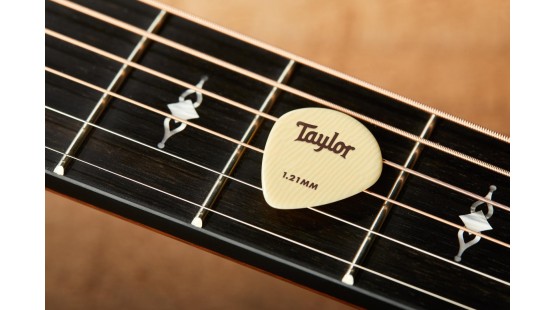 Taylor Primetime: Pick và dây đàn guitar