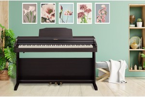 Roland RP-501R là cây đàn digital piano phù hợp với nhiều đối tượng