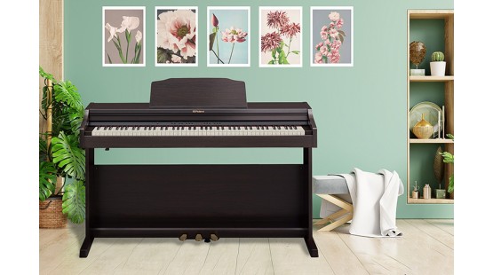 Roland RP-501R là cây đàn digital piano phù hợp với nhiều đối tượng