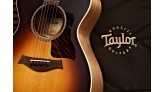 Tư duy âm nhạc của Taylor Guitar