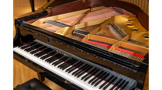 Chiêm ngưỡng và lắng nghe đàn piano Kawai GL-30