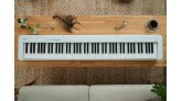 Đánh giá đàn piano điện cho người mới Casio CDP-S110