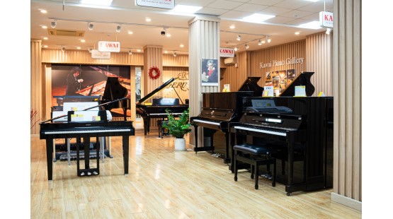 Điều gì khiến piano trở thành nhạc cụ được yêu thích?