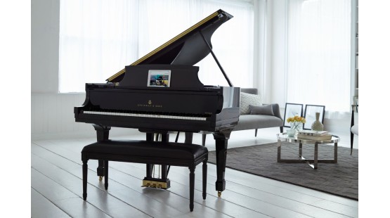 NÂNG CẤP ĐÀN PIANO: CƠ HỘI SỞ HỬU ĐÀN PIANO CAO CẤP VỚI GIÁ HỜI