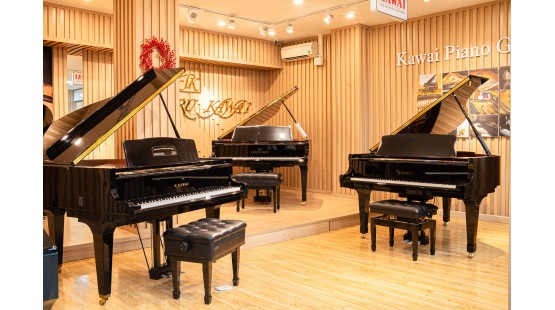 SẮM ĐÀN PIANO MỚI, ĐẦU TƯ THÔNG MINH LÂU DÀI