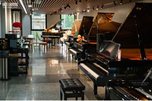 Việt Thương Flagship Store & Art Academy 46–48–50 Hào Nam: Showroom nhạc cụ 8 tầng lớn nhất Hà Nội