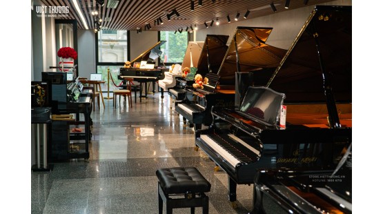 Việt Thương Flagship Store & Art Academy 46–48–50 Hào Nam: Showroom nhạc cụ 8 tầng lớn nhất Hà Nội