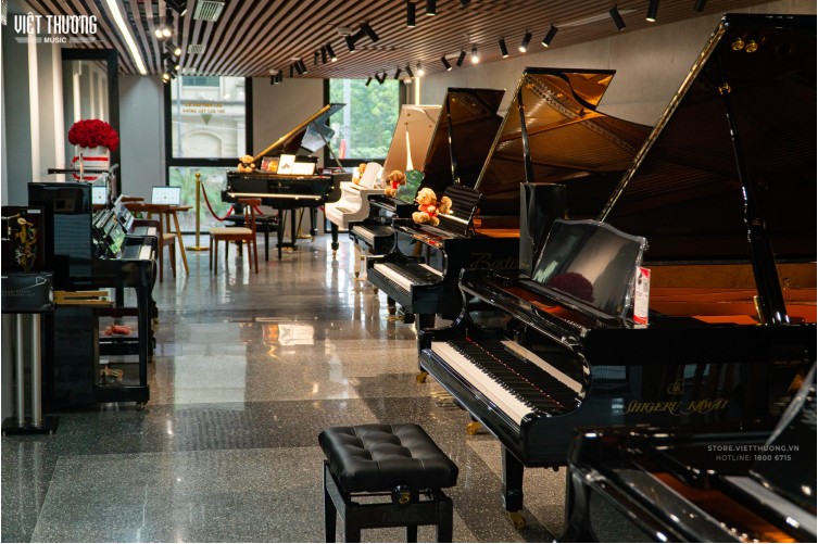 Việt Thương Flagship Store & Art Academy 46–48–50 Hào Nam: Showroom nhạc cụ 8 tầng lớn nhất Hà Nội
