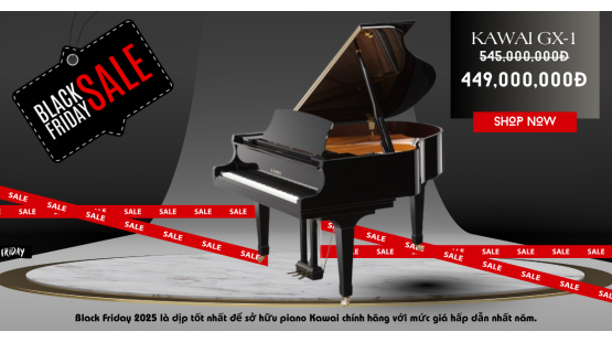 Top Piano Cơ Đáng Mua Nhất Black Friday 2025 tại Việt Thương Music
