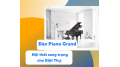  Đàn Piano Grand – Nội thất sang trọng cho Biệt Thự 