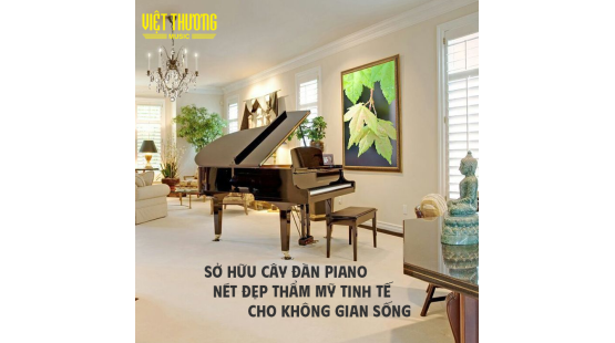 Sở hữu cây đàn piano - Nét đẹp thẩm mỹ tinh tế cho không gian sống