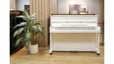 Samick JS115D: Đi cùng năm tháng luyện tập chuẩn xác cho người chơi piano