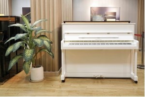 Samick JS115D: Đi cùng năm tháng luyện tập chuẩn xác cho người chơi piano