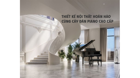 Thiết kế nội thất hoàn hảo cùng cây đàn piano cao cấp