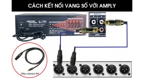 Kết nối vang số với amply như thế nào? Cách đấu vang số với amply