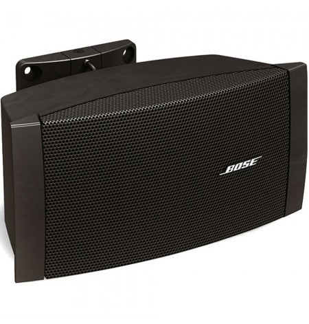 Bose FreeSpace® DS 100SE