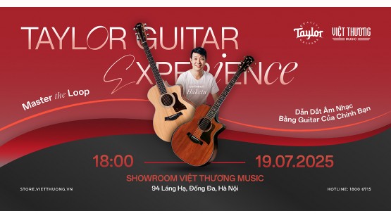 Taylor Guitar Experience