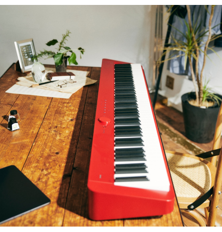 Casio PX-S1100
