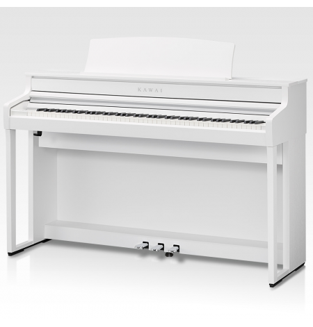 Kawai CA501