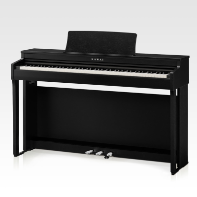Kawai CN201