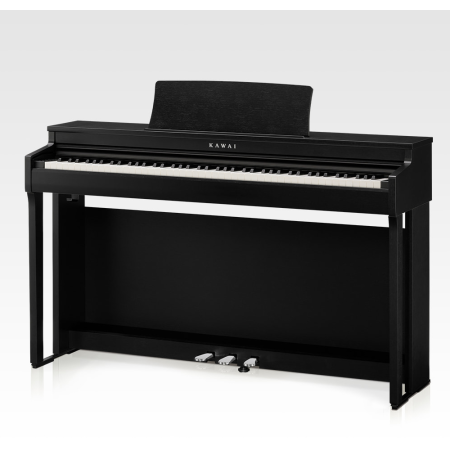 Kawai CN201