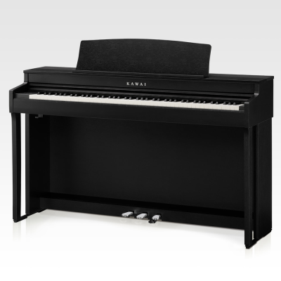 Kawai CN301