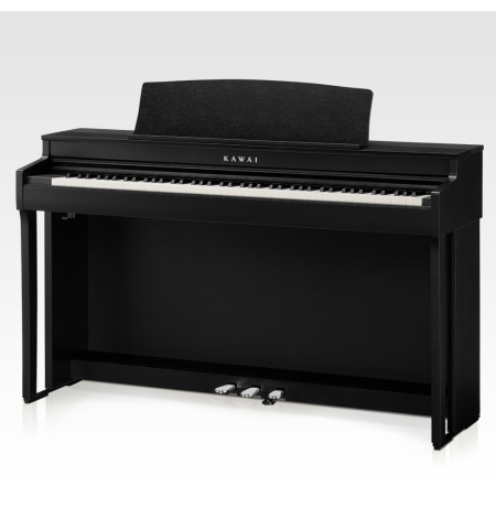 Kawai CN301