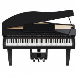 Roland GP-3-PE