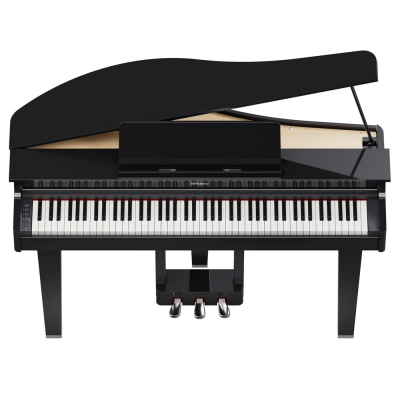 Roland GP-3-PE