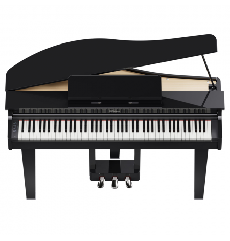 Roland GP-3-PE