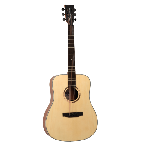 Tanglewood TS5