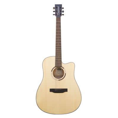 Tanglewood TS5CE