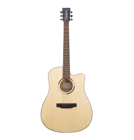 Tanglewood TS5CE