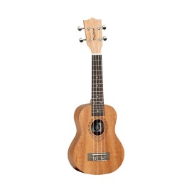 Tanglewood TWT1