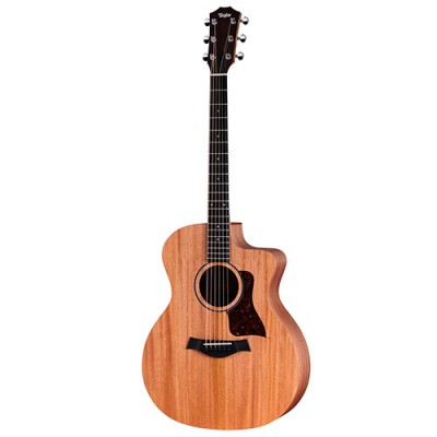 Taylor 24CE – Acoustic-Electric Guitar